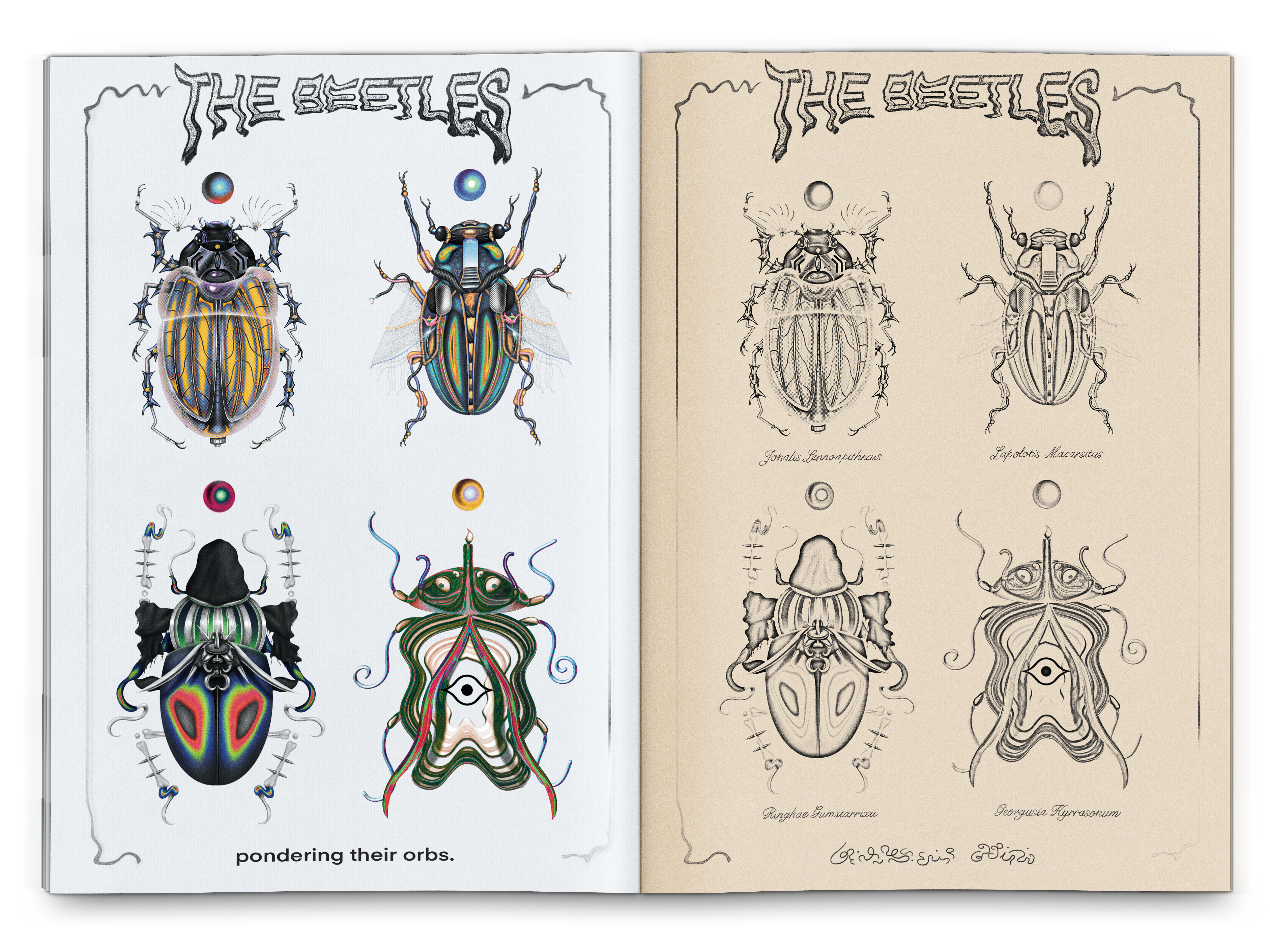 the-beetles-tobogang